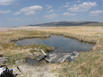 swamps with Fernley wildlife management area in background (Patua)